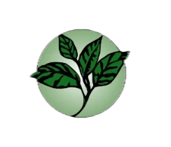 Sueno Verde logo